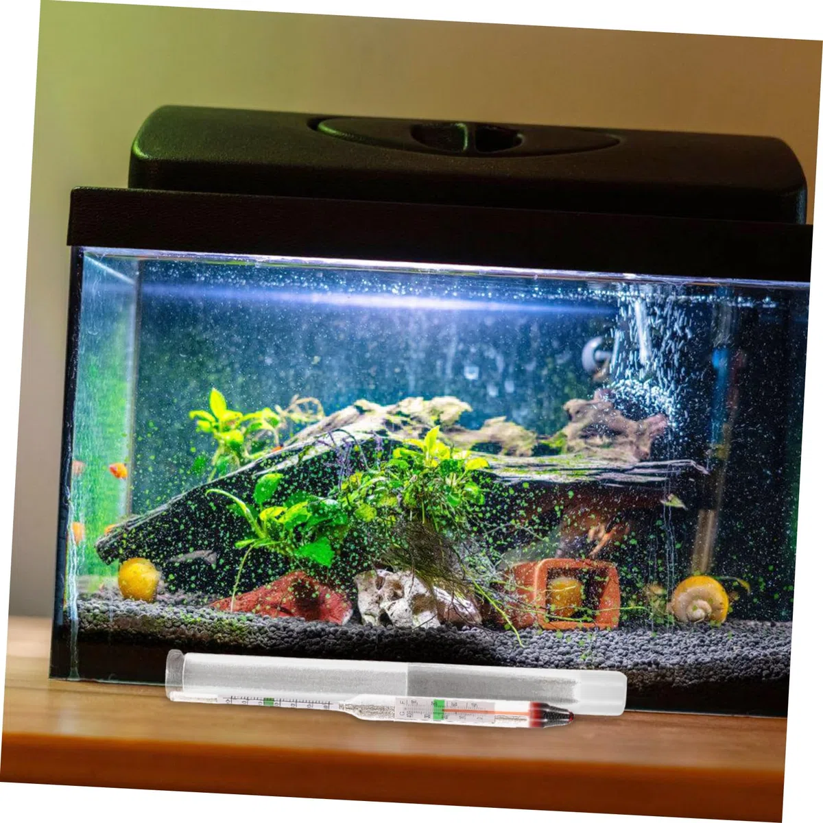 Toyvian 10 Juegos medidor de salinidad del Agua de mar Peces Suministros para acuarios de Agua Salada Tanque probadores de peceras hidrómetro de Vidrio hidrómetro acuático el plastico