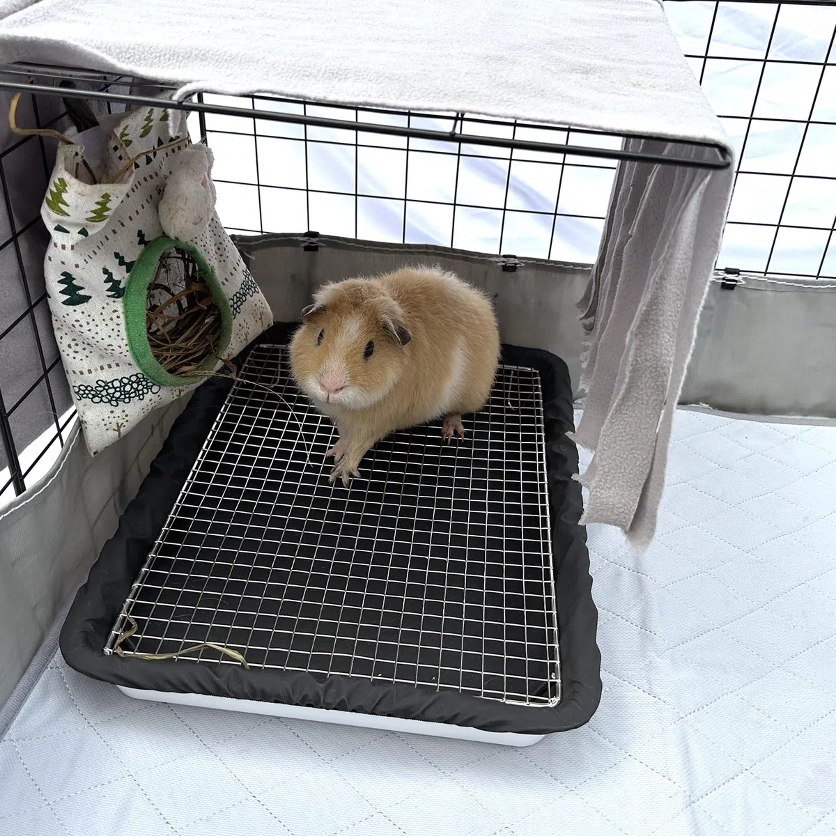 DOZZOPET Caja de arena para conejillos de indias con rejilla de acero inoxidable y 2 forros impermeables reutilizables, bandeja para orinal de animales pequeños para conejo enano, hurón, chinchilla
