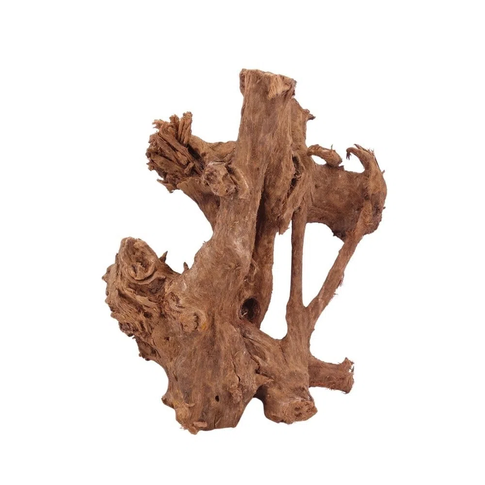 AquaOne Acuario de raíz decorativa L de manglar, madera auténtica, nº 2859, decoración de madera, plantas acuáticas, paisaje, musgo, naturaleza