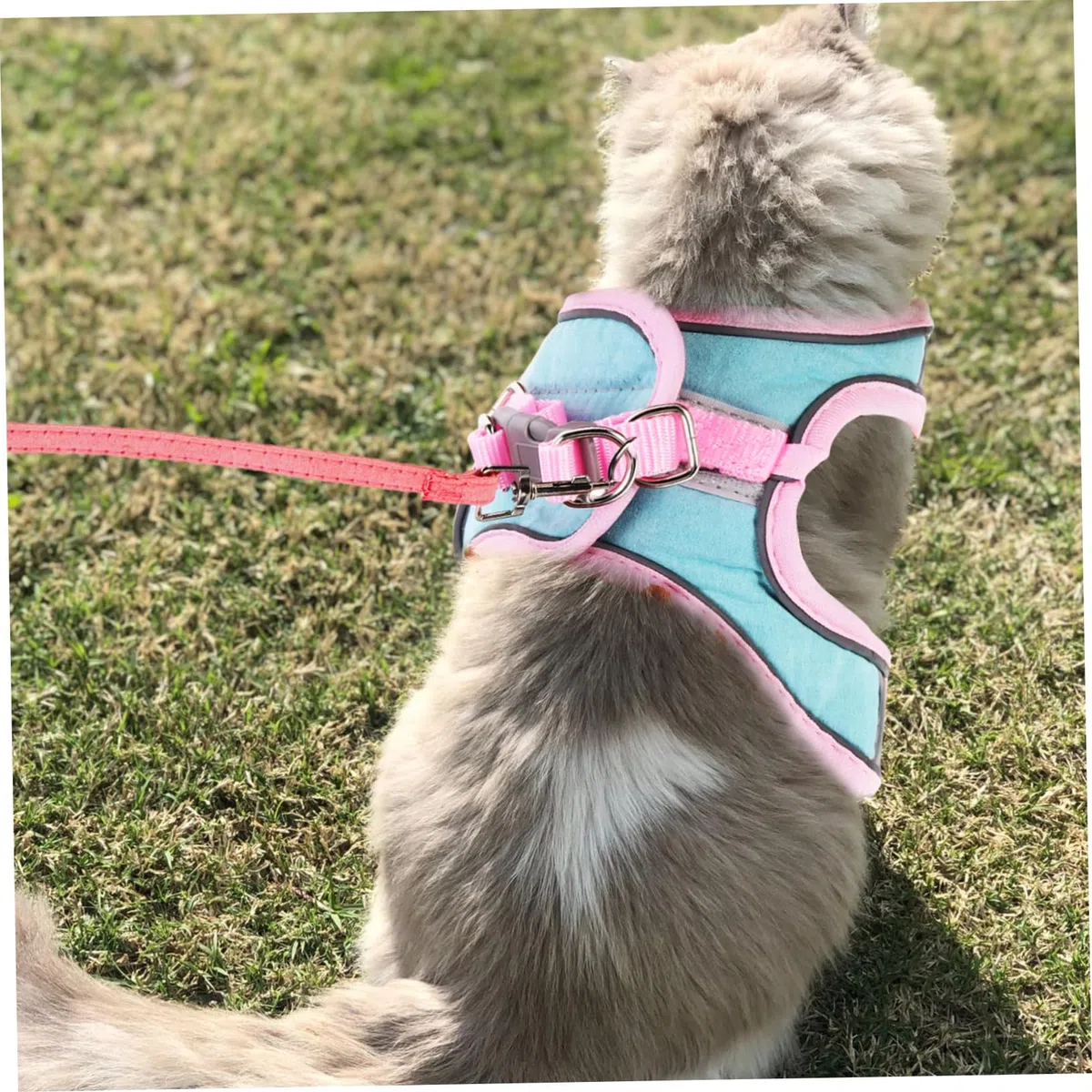 Happyyami 3juegos Arnés Reflectante y Correa para Mascotas Conjunto De Arnés Antiescape para Perros y Gatos para Paseos y Entrenamientos Al Aire Lively