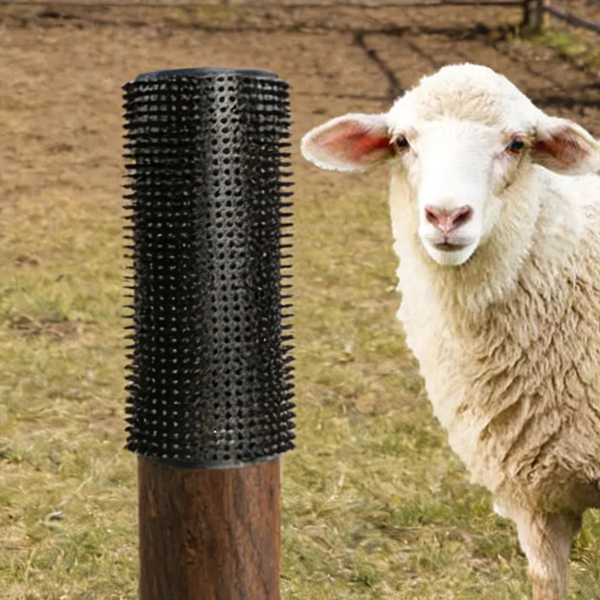 Cepillo rascador para ganado Rascador Masajeador de Aseo | Cepillo rascador para caballos y cabras 2 piezas para Vacas, Perros, Juegos de Animales en Establos,