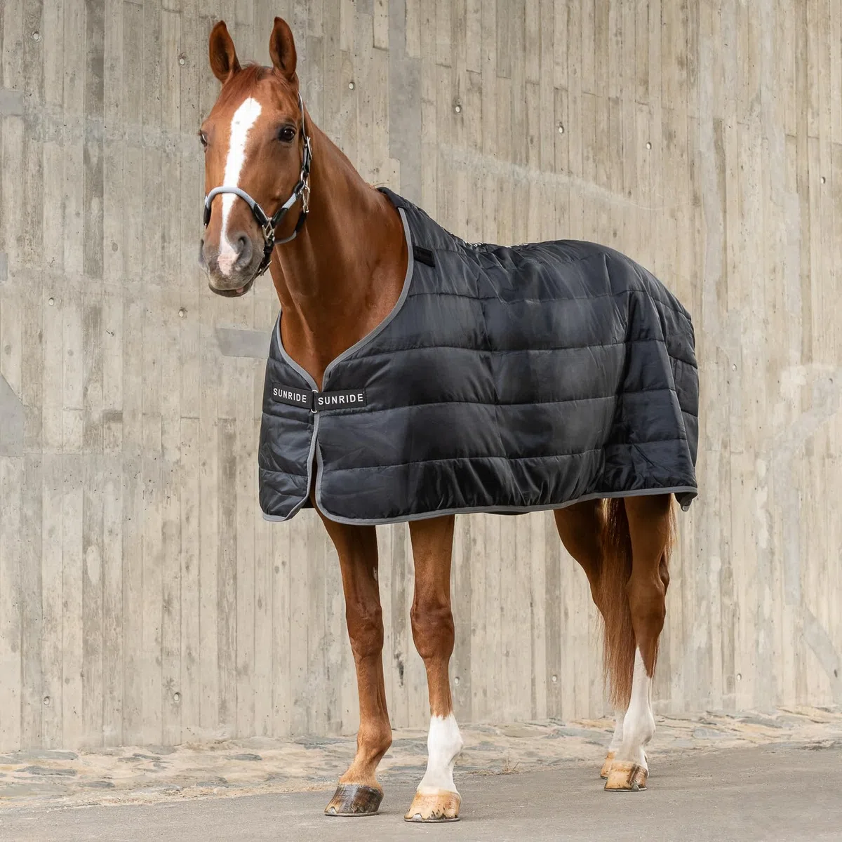 SUNRIDE Manta Interior de 150g para Caballos - Puede combinarse de Manera Flexible con Nuestras Mantas de Invierno y Capas Impermeables (145 cm, Negro)