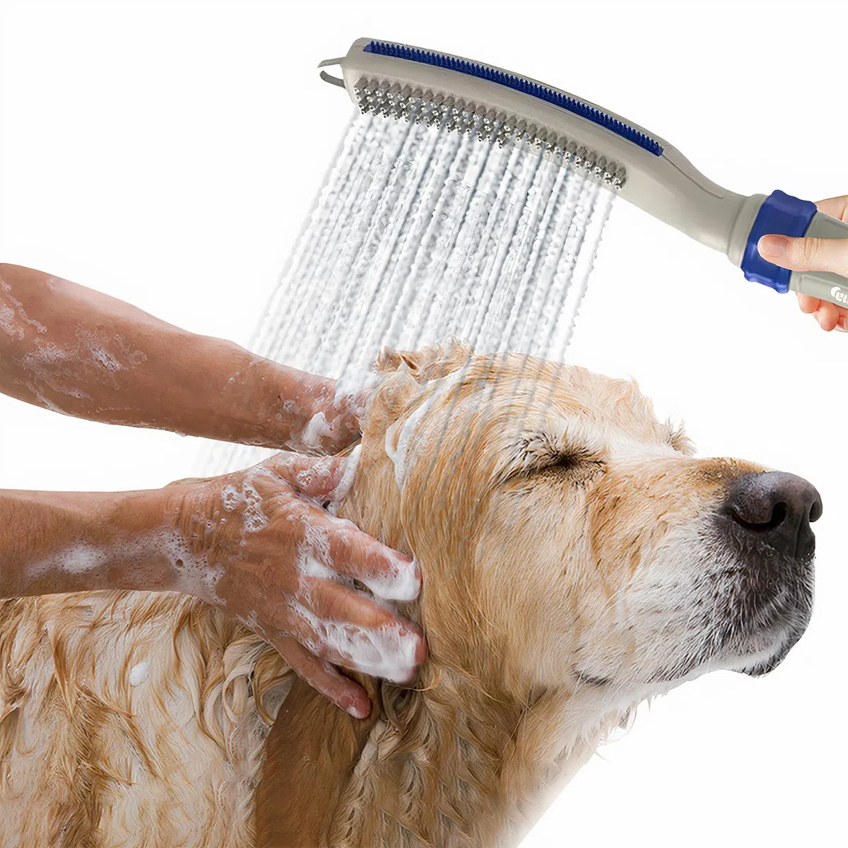 Pulverizador de ducha para perros con manguera de 8 pies, accesorio de ducha de alta presión para perros para baño y aseo, rociador de manguera de ducha para mascotas con adaptadores para