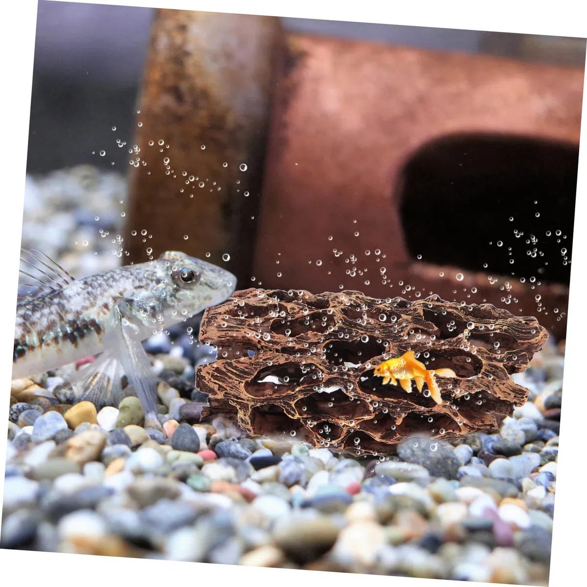 Happyyami 5piezas Escondite De Camarones y Peces para Acuario Decoración De Pecera Cueva para Ocultarse Accesorios para Acuarios y Hábitats De Peces