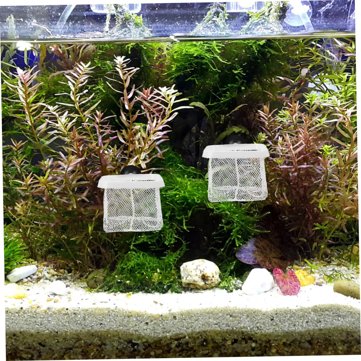 Kisangel 20 Piezas De Red para Pecera Caja De Cría De Peces Accesorios para Pecera Red para Divisor De Divisor De Cajas para Incubar para Cría De Peces De