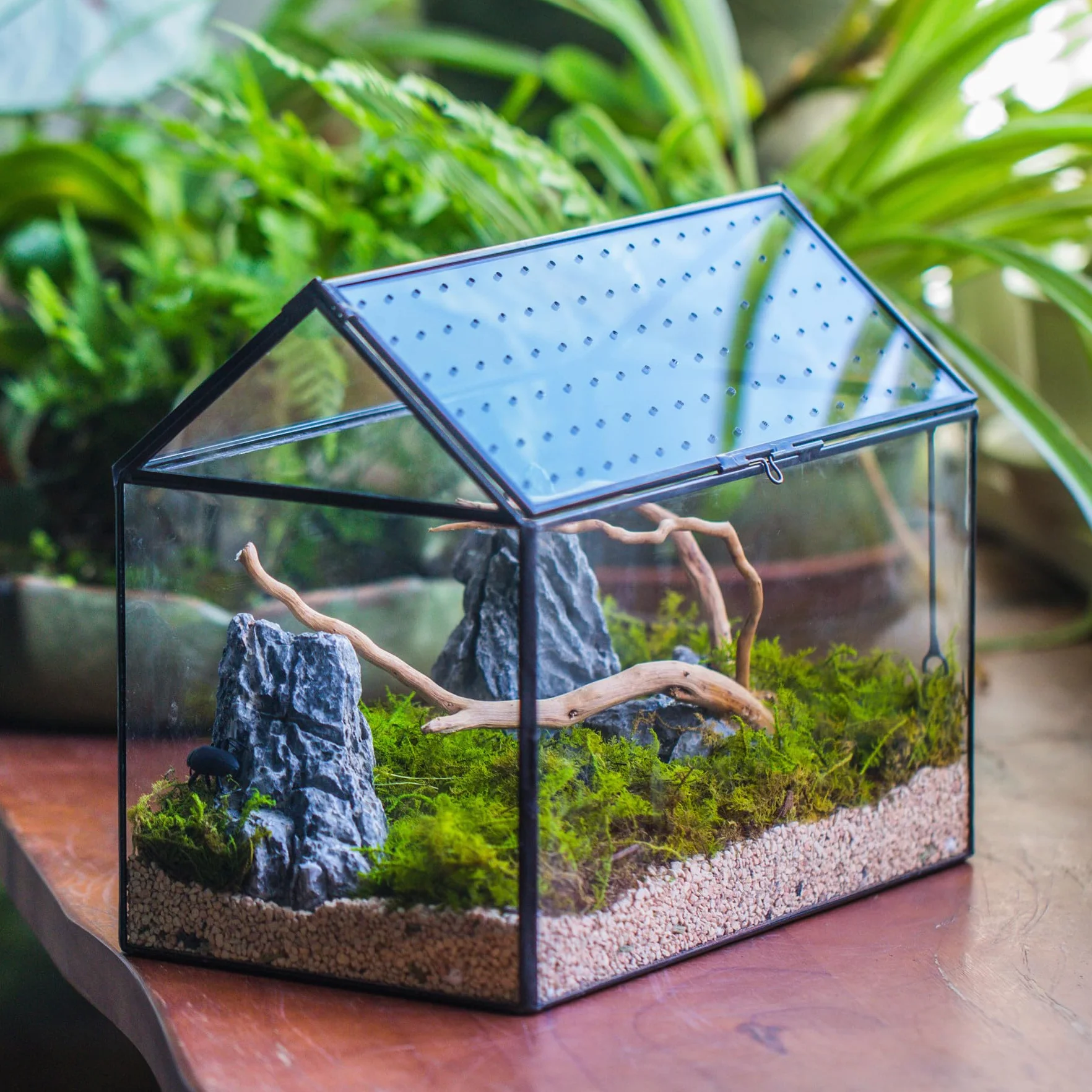 NCYP 26x15x21cm, Terrario de Cristal en Forma de Casa Con Tapa Acrílica, Caja Geométrica Grande Hecha a Mano para Caracoles, Suculentas, Plantas, Regalo DIY (Sólo Terrario)