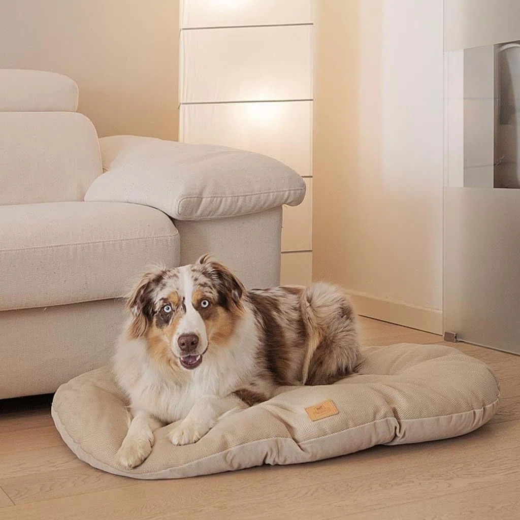 Ferplast Cojín Para Perros Y Gatos Stuart 89/10, Doble Cara, Tweed Y Suave Terciopelo, Lavable, Beige, XL