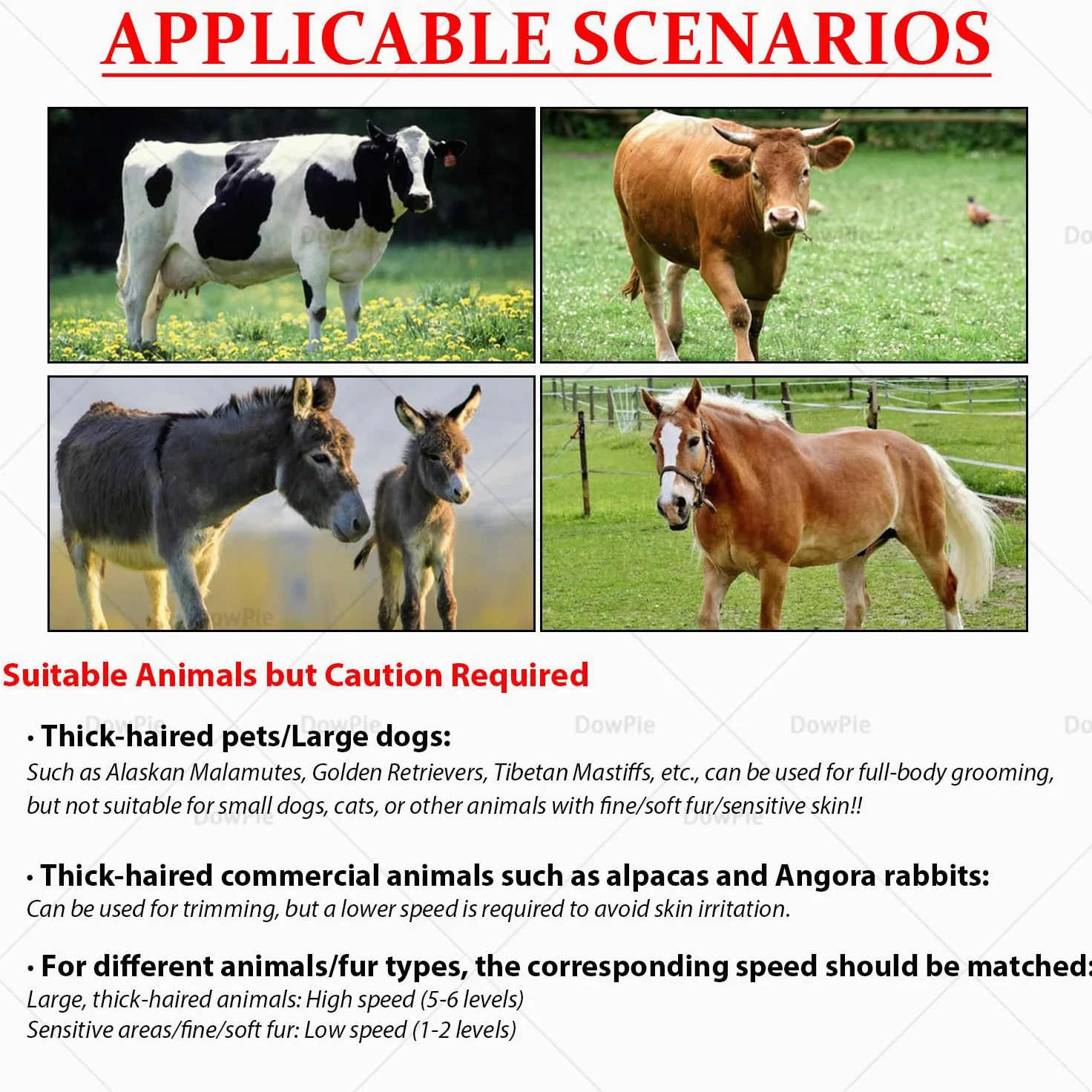 Esquiladora eléctrica de 690 W para Ganado, con 6 velocidades y Cuchillas Desmontables para Caballos, Vacas, Camellos y Perros Grandes. 220V