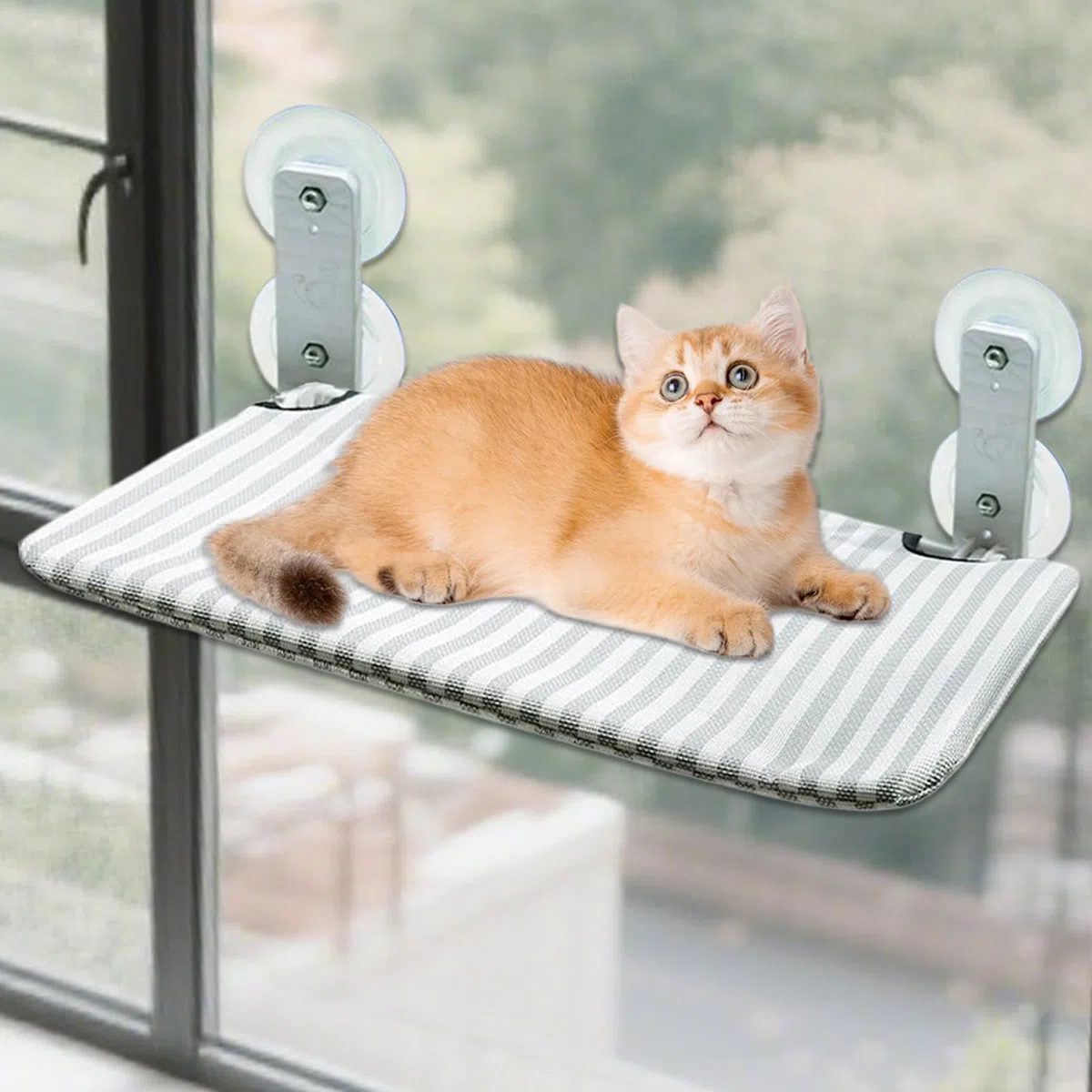 Reposagatos para Ventana Hamaca con Ventosas Potentes | Hamaca Acolchada Con Ventosas Para Gatos Interior Exterior Sala Terraza