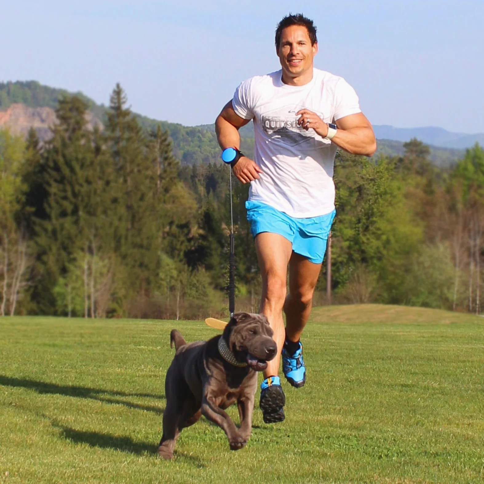 3 Bungee con Full-Stop Azul L, Correa Perros Grandes