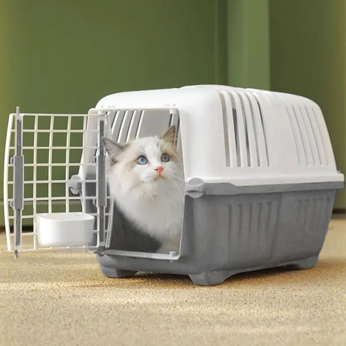 Transportín para Gatos para Mascotas, cómoda y Transpirable, portátil, para Viajes, para Gatos, Perros, Conejos, Viajes en avión, Camping al Aire Libre, PP, Hierro, Ligero,
