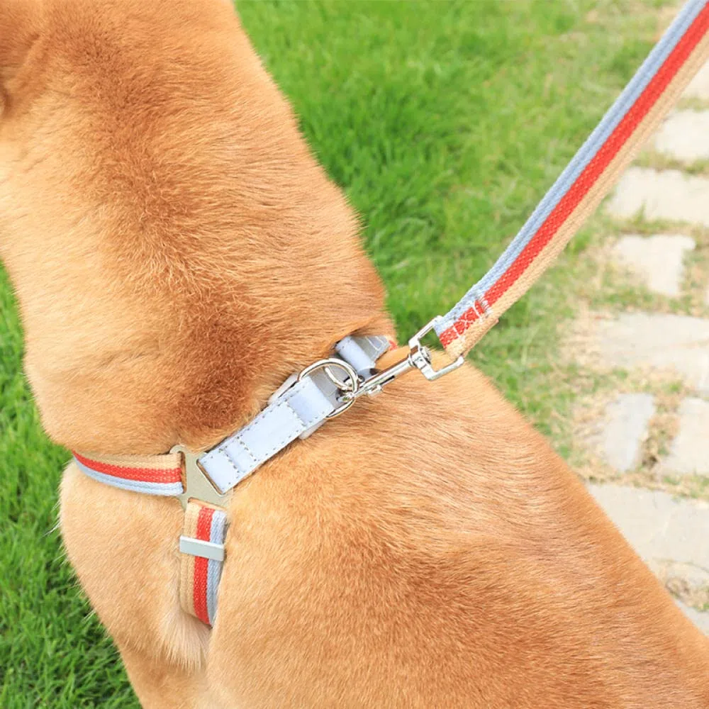 Arnés para Perros， Arnés for Perros con Correa, Chaleco Ajustable, Collar y for pasear Cachorros Gatos, Cadena roja for pequeños medianos S(Red,S)