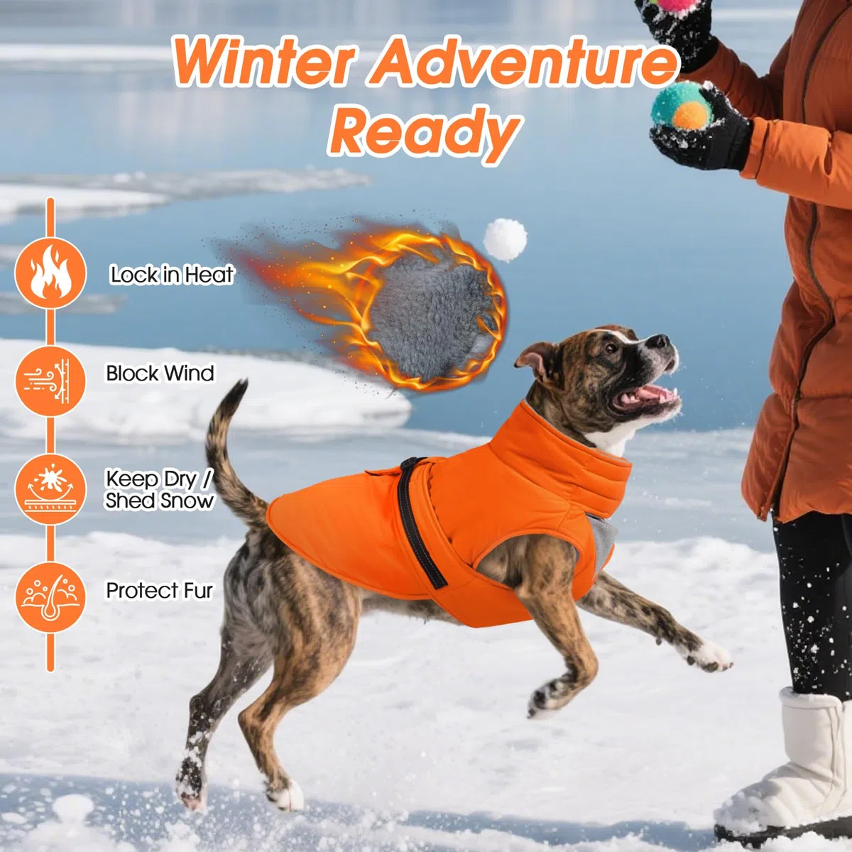 Abrigos para clima frío para perros
