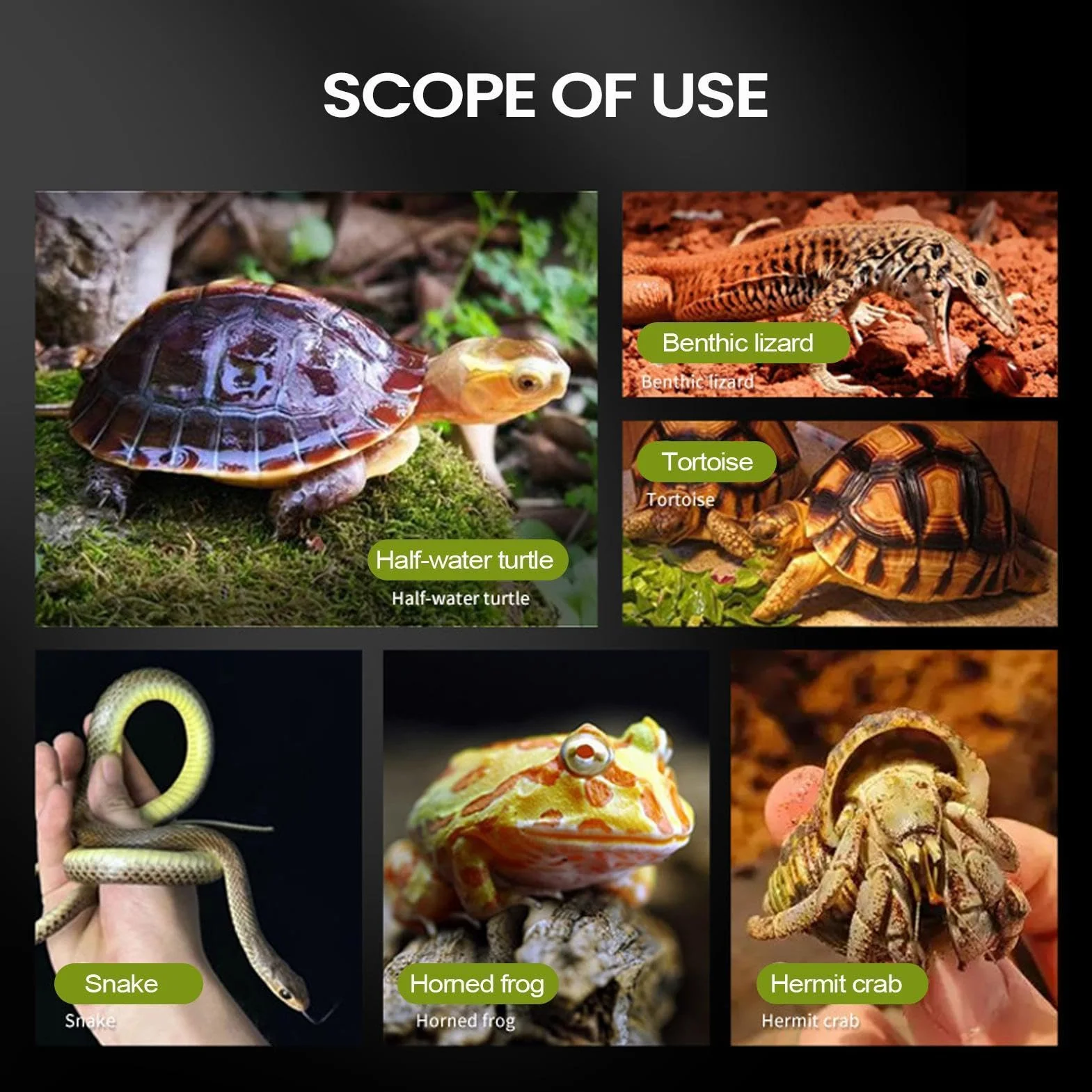 Acuario Tortugas Acuáticas Terrario Transparente con Plataforma de Asoleo | Terrario Reptiles para el Dormitorio, Tienda, Lugar de Trabajo, Sala de Estar, Escritorio y tu Hogar etc.