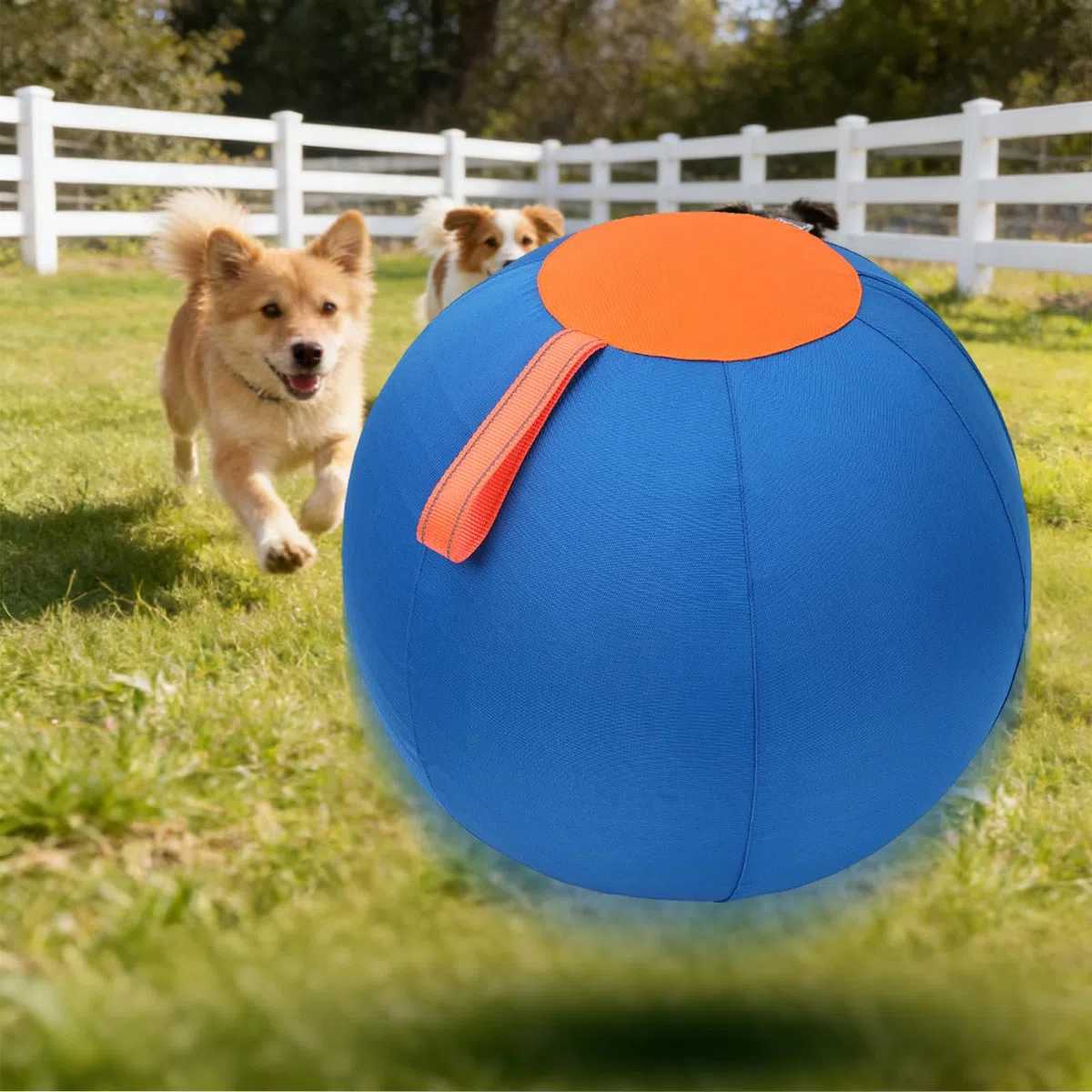 Pelota de pastoreo para perros Mordedor inflable para cachorros | Pelota Relajante para Perros para Jardín, Terraza, Parque, Apartamento, Hogar, Oficina, Refugios y