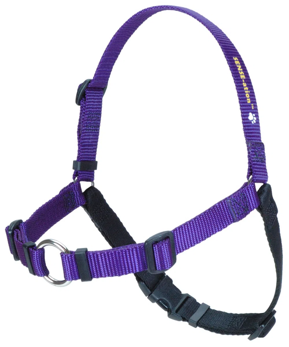 Sense-ation - Arnés para Perro (tamaño Mediano), Color Morado