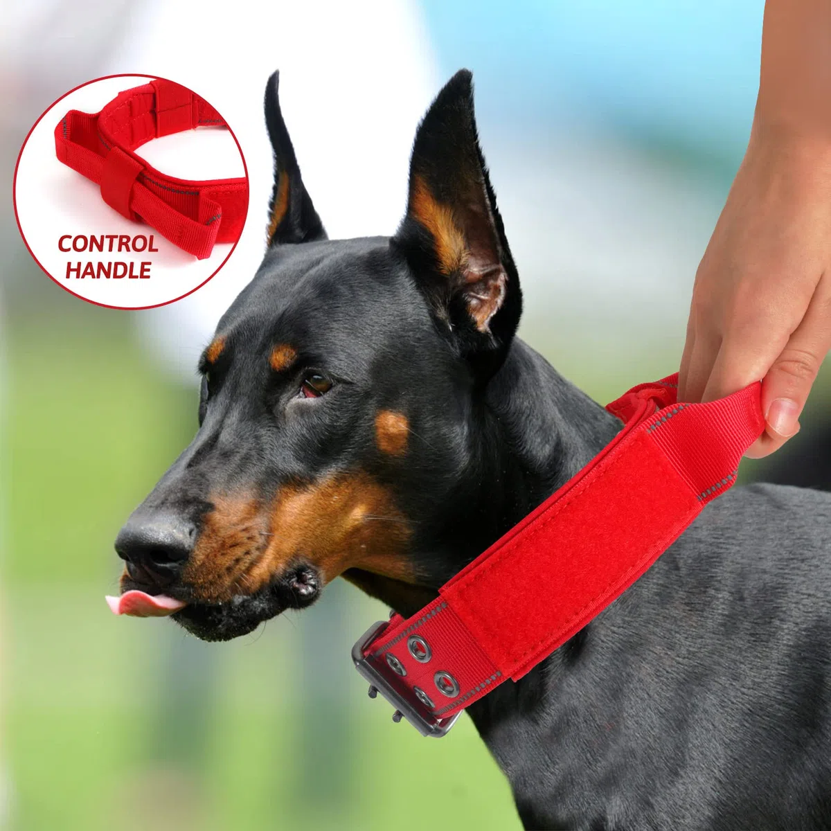 Collar reflectante para perro resistente con mango de control y hebilla de metal para entrenamiento de perros (XL, rojo)