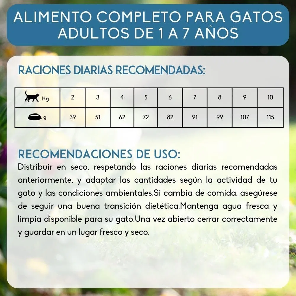 NUTRIVET - INNE Chat - Croquetas sin Cereales - Gato Adulto - Pescado - 80% Ingredientes de Origen Animal - 6kg