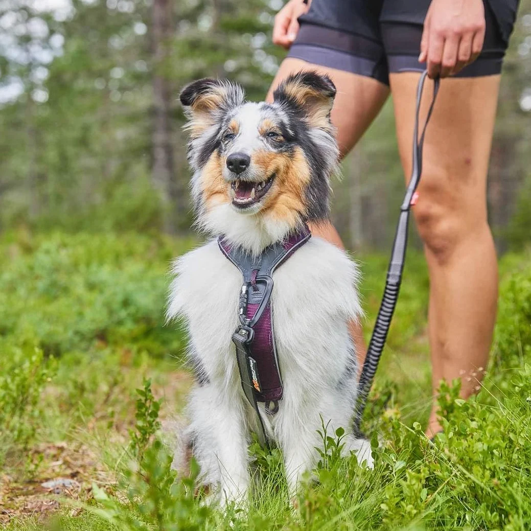 Non-Stop dogwear Line Harness 5.0 |216| Arnés para el día a día, color: azul, talla: G 4