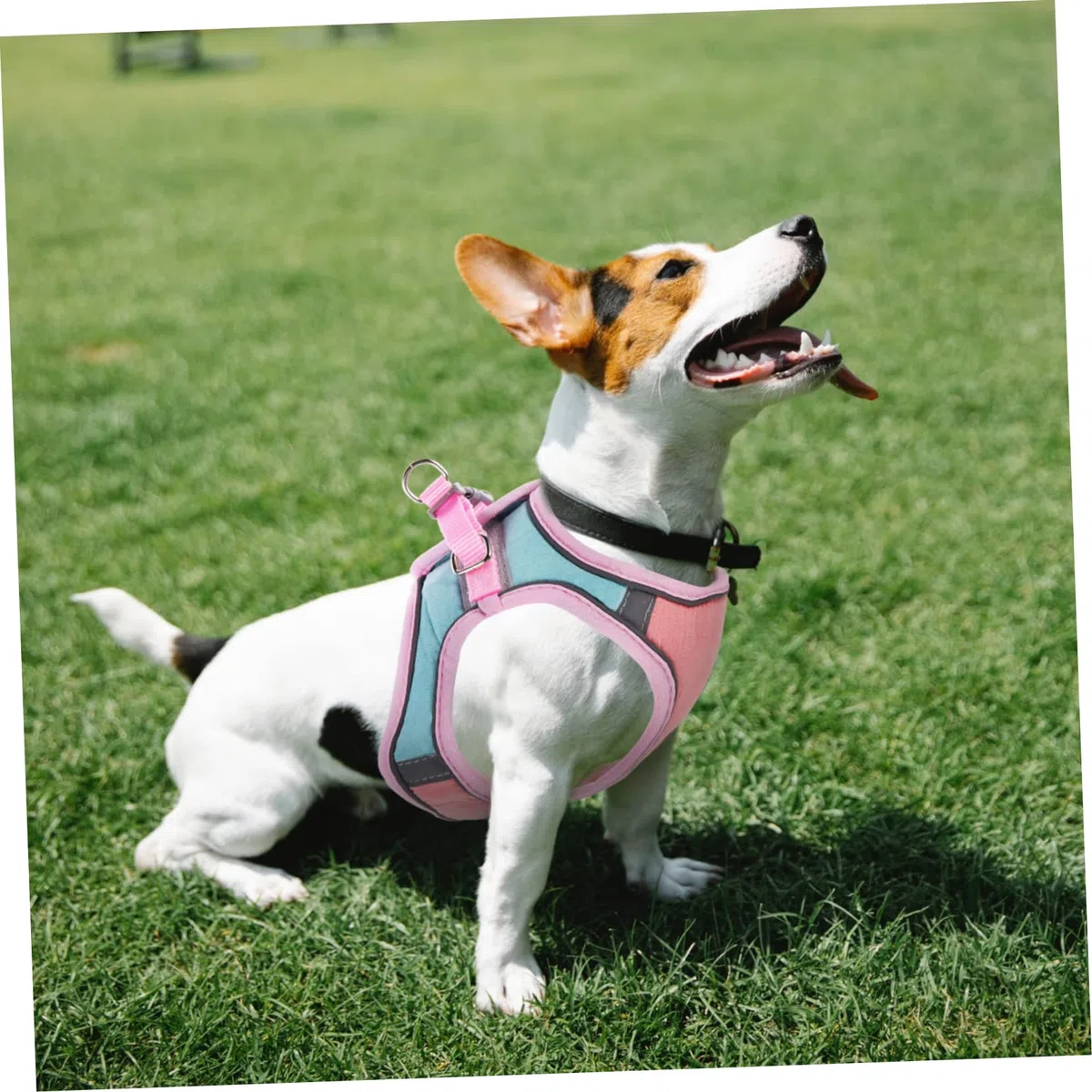 Happyyami 4juegos Arnés Reflectante para Gatos y Cachorros Kit De Chaleco Correa Diseño Resistente y Adorable para Paseos Al Aire
