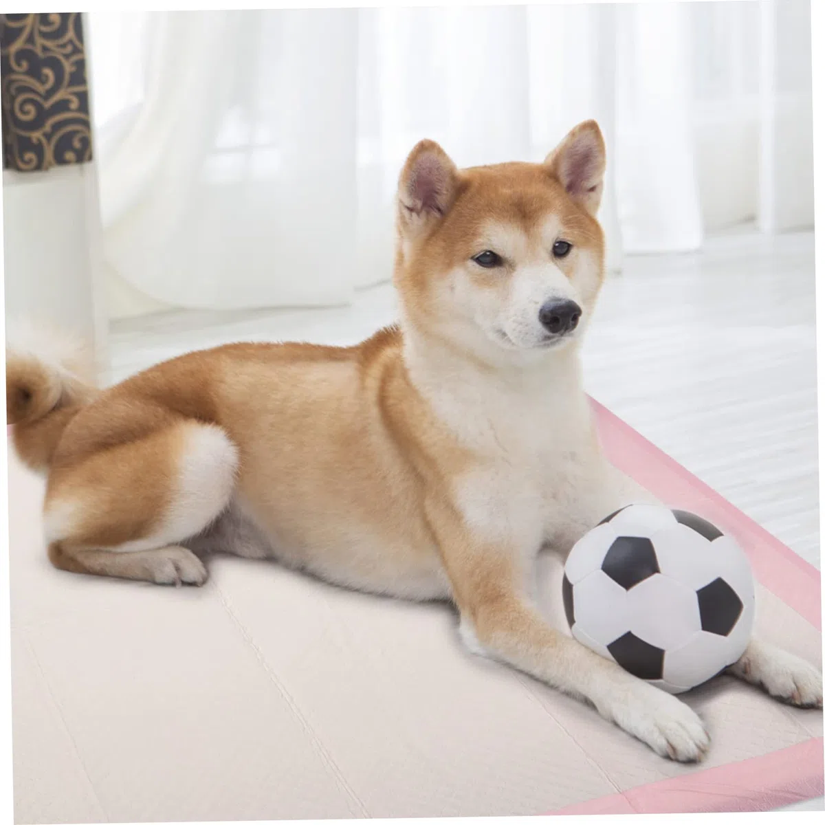 Almohadilla para Orinar de Mascotas Rosa, 1 Bolsa, Polímero