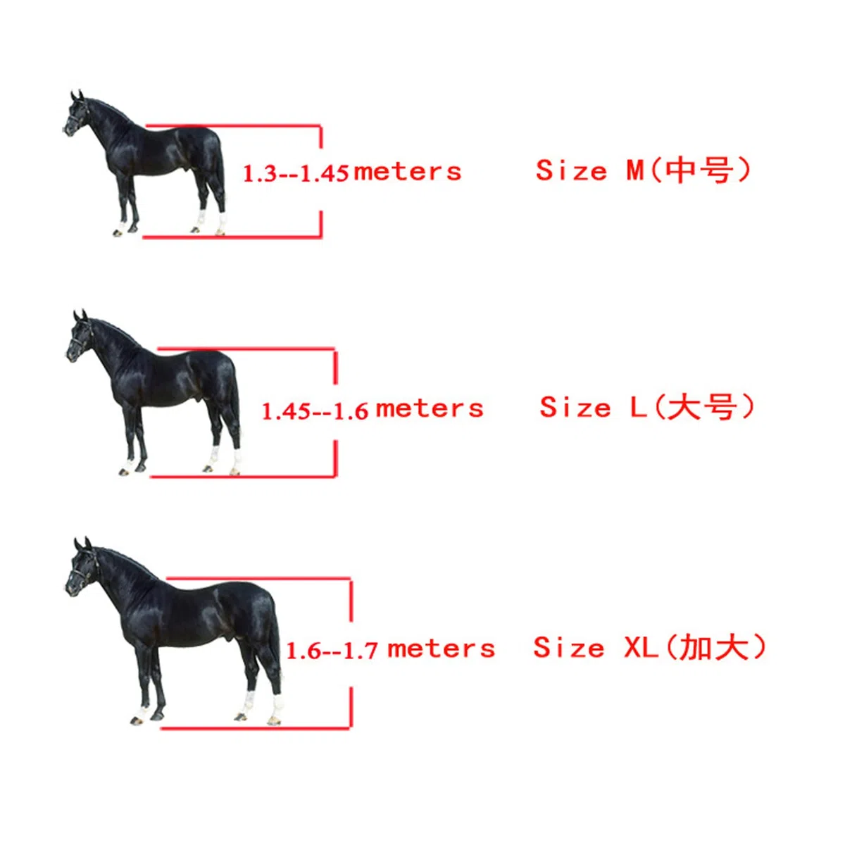 Desconocido Juego de 2 uds. De Botas para tendón de Caballo, Suaves, Antideslizantes, con amortiguación, Botas Protectoras para tendón de Carcasa de PU para Caballos (Grandes)