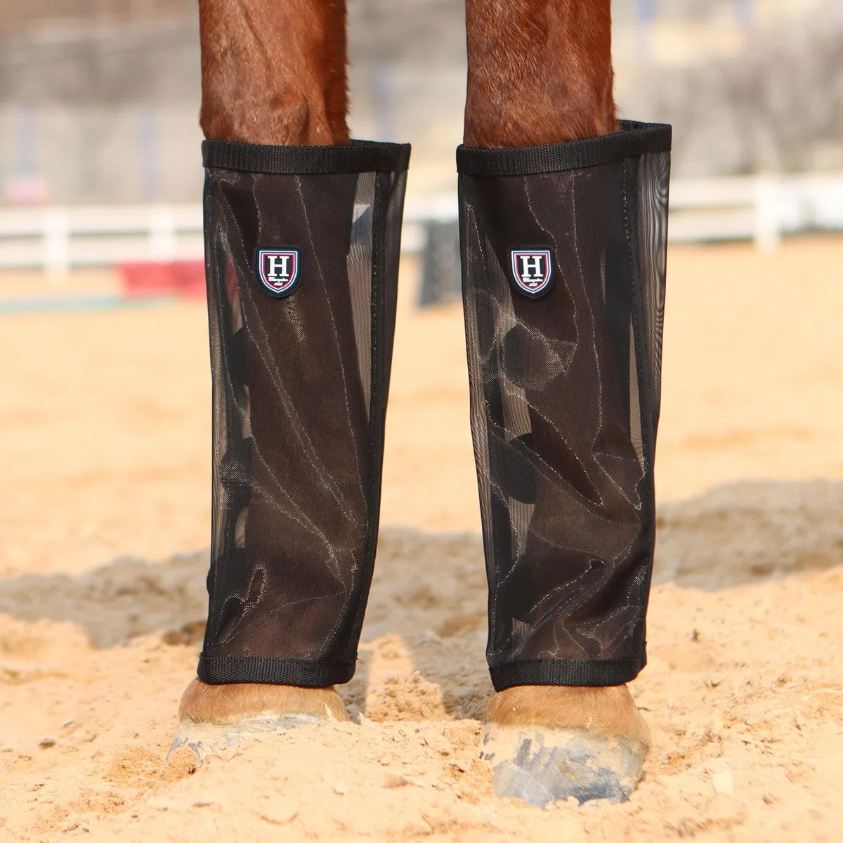 Harrison Howard Leggings Holgados con Mosca de Caballo, Transpirables, Resistentes al desgarro, Protectores de Pierna de Malla Fina, Botas cómodas (Juego de 4), Color Negro, Talla L