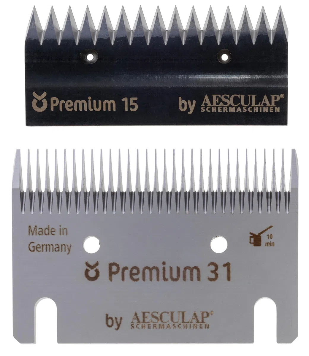 Constanta 3 Spareblades-Set, Standard T15/31