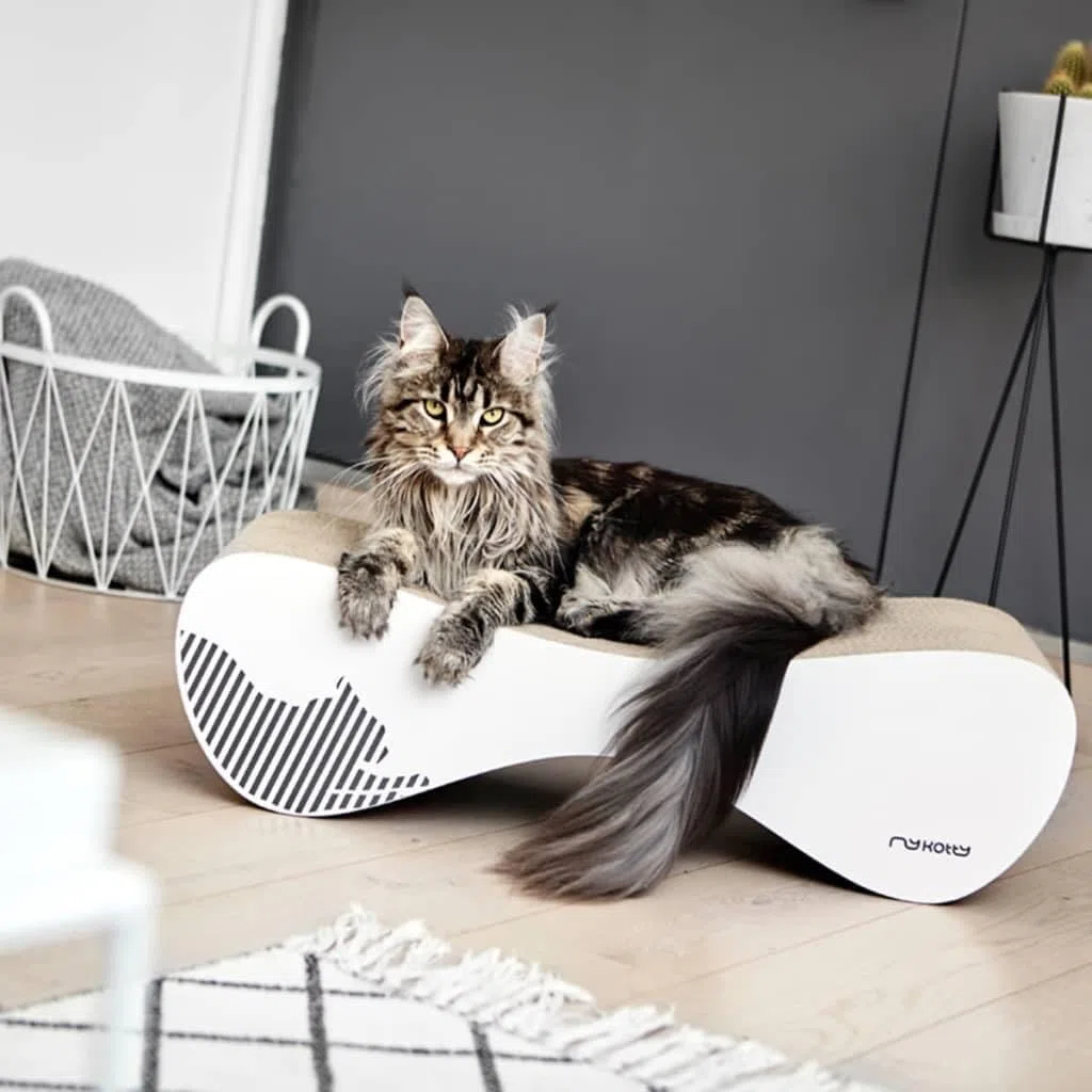 myKotty: Rascador Gato Carton Reversible para Dormir y divertirse - Tapete Corrugado portátil Hecho a Mano - Cama de cartón Horizontal de Doble Cara y no tóxica Muebles para Mascotas Vigo