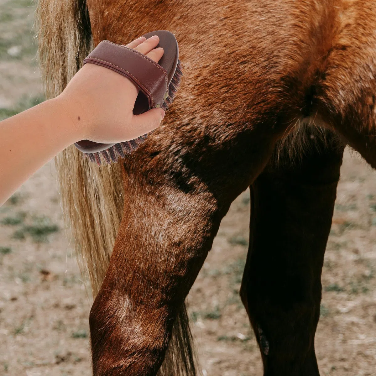 Cepillo para Caballo con Mango Ergonómico de Madera y Fibras Mixtas, Cepillo Ovalado para Limpieza Diaria y Cuidado Suave del Pelaje Equino