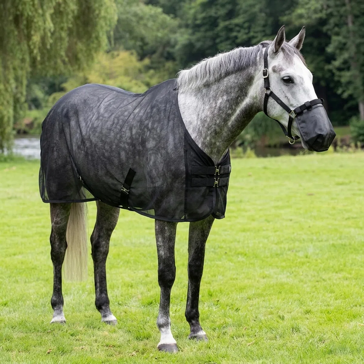 Manta antimoscas para Caballos Manta antimoscas de Malla Ajustable con Protector Nasal Transpirable protección contra Insectos para el Verano para pastos y Exteriores Negro tamaño 187 cm