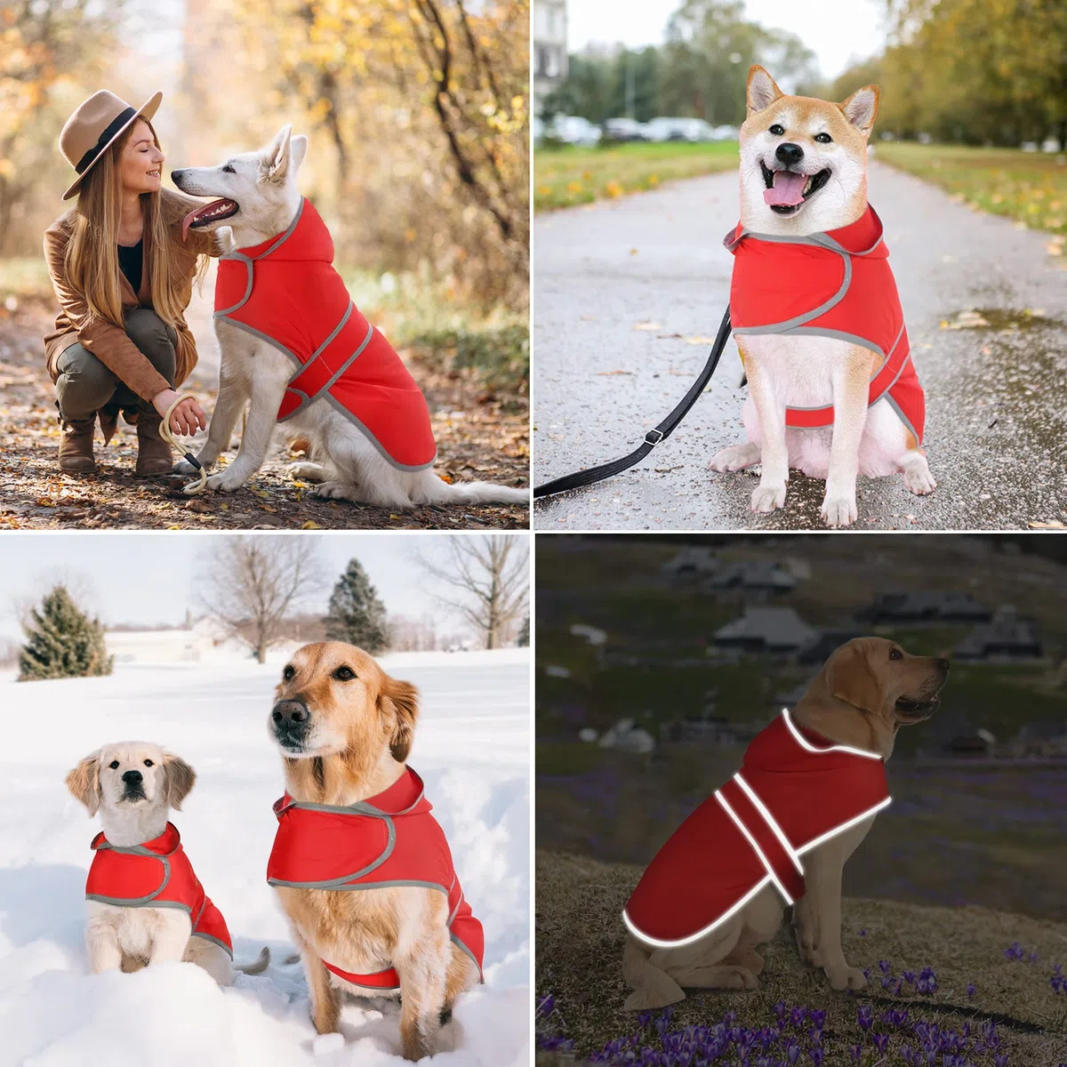 Impermeable Impermeable para Perro con Capucha y Agujero para Correa, para Perros y Cachorros pequeños, medianos y Grandes