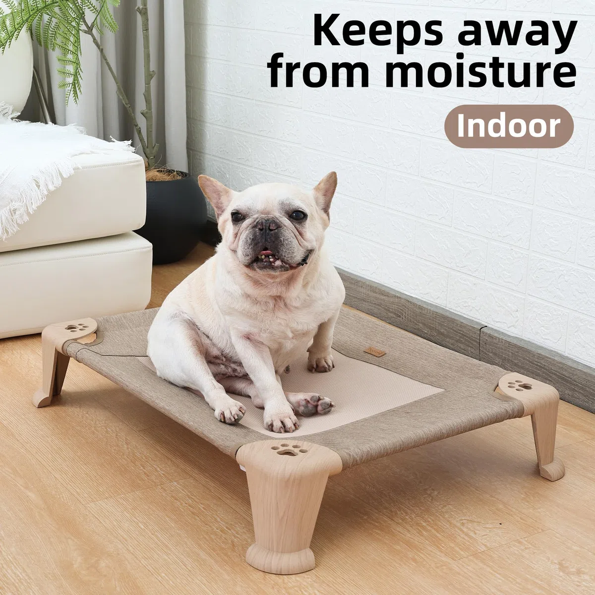 Cama elevada plegable para perros, cuna elevada para mascotas con malla transpirable, pies antideslizantes, resistente a la humedad, cama lavable para mascotas para perros medianos y grandes