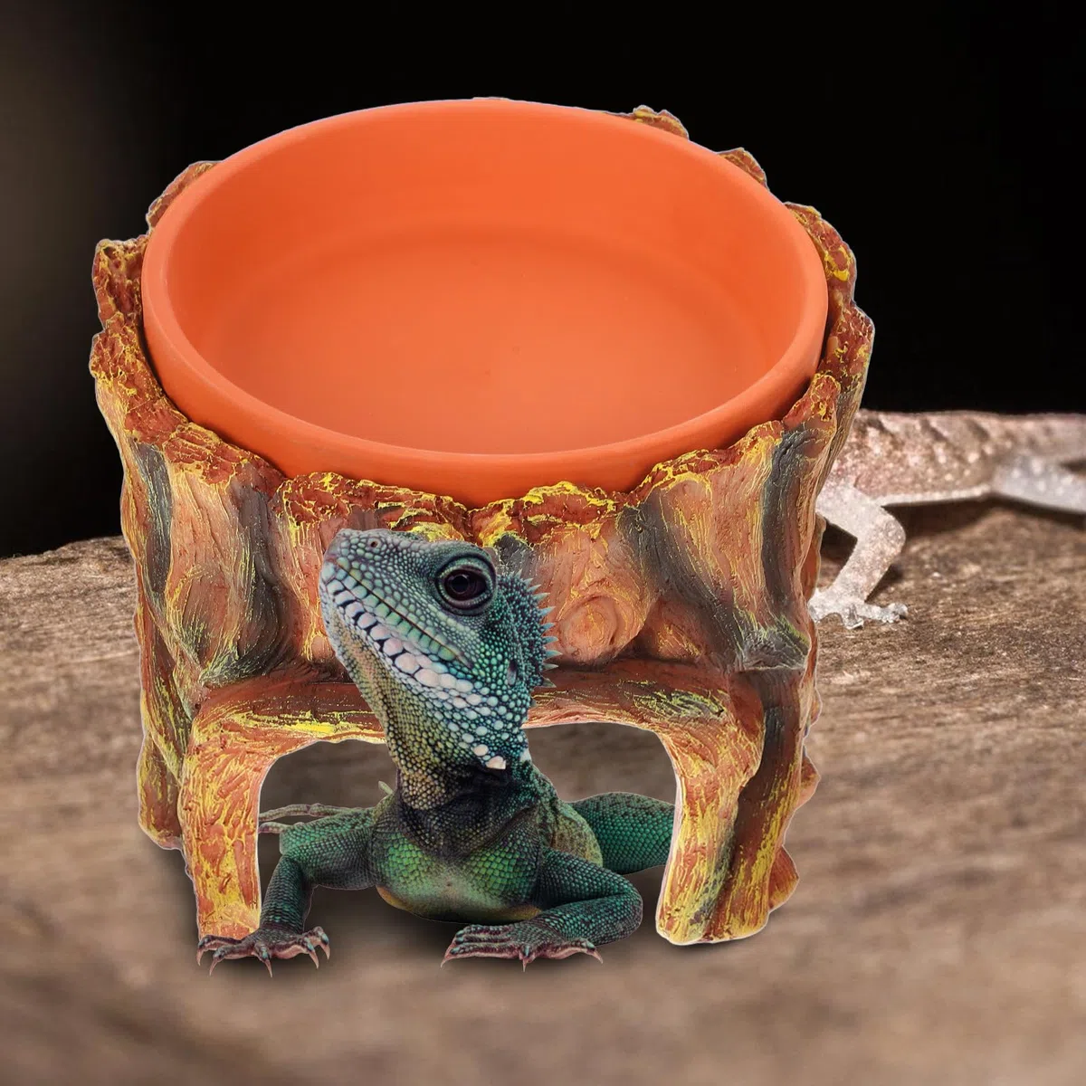 minkissy Cueva para Reptiles de Resina, Escondite Húmedo Grande para Geckos, Decoración Natural para Terrarios y Jardines, Accesorio Seguro para Hábitat de Mascotas