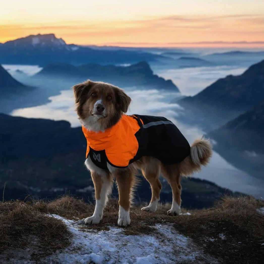 Non-Stop Dogwear Fjord Raincoat 2.0 Impermeable para Perros, Negro/Naranja, Talla 45, Material Poliéster Reciclado
