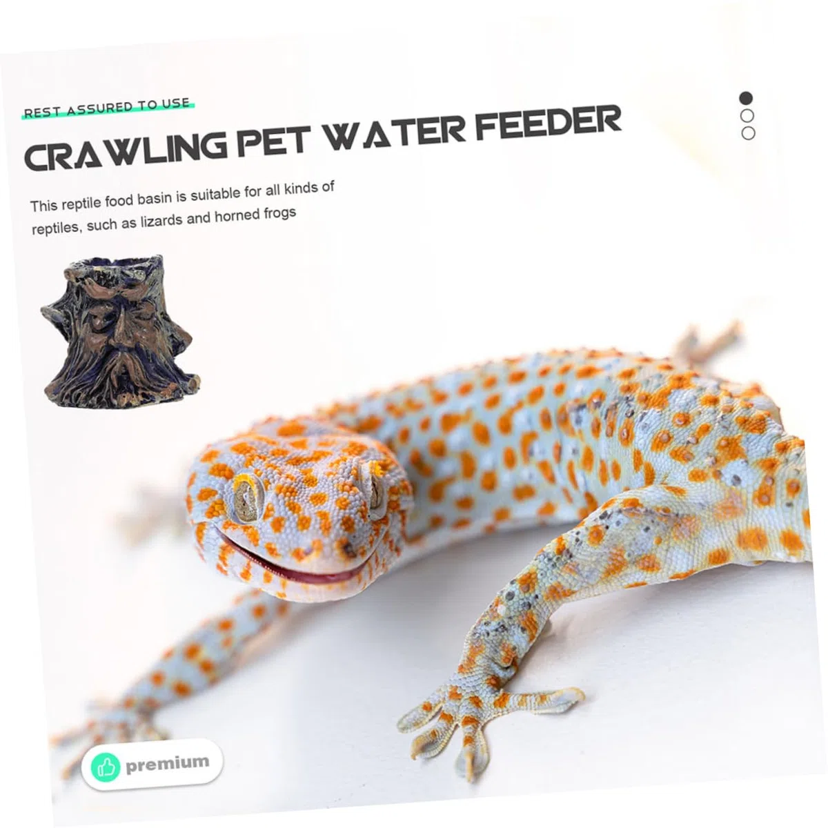 VANZACK 12piezas Tazón De Alimentación para Reptiles De Comida y Agua Accesorios para Terrario para Tortuga y Material De