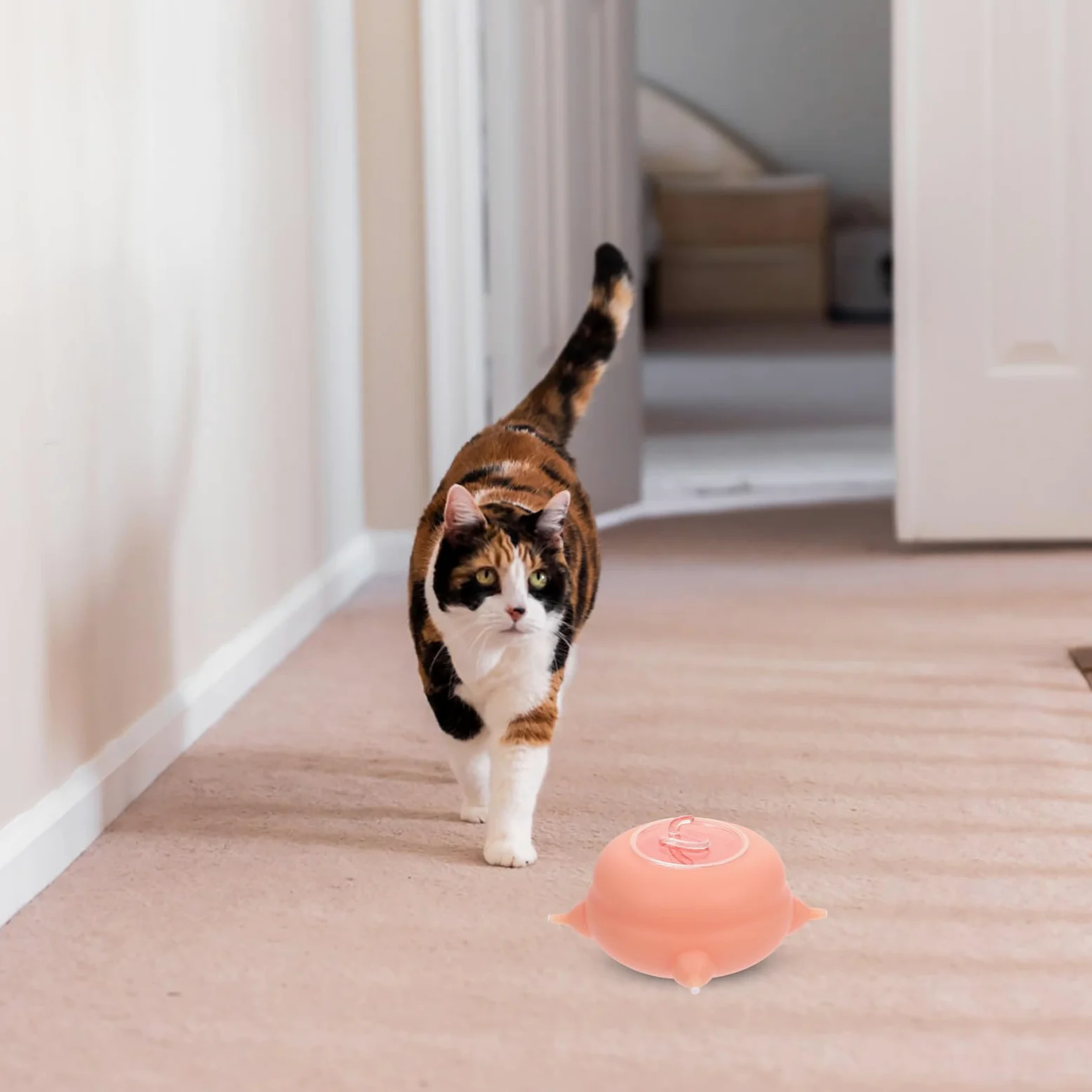WOONEKY Alimentador de Leche para Cachorros y Gatitos Recién Nacidos Comedero de Silicona Seguro 4 Capacidad 200 Ml Accesorio Práctico para Mascotas en Lactancia y Juego de