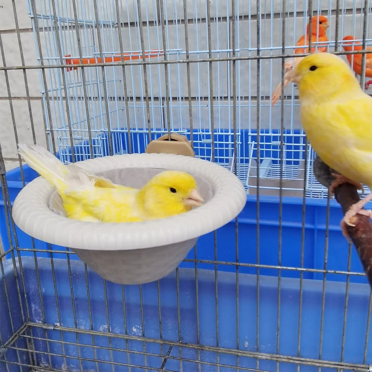 FOIBURELY Nido de pájaros Canary Finch Loro Nido con fieltro (blanco)