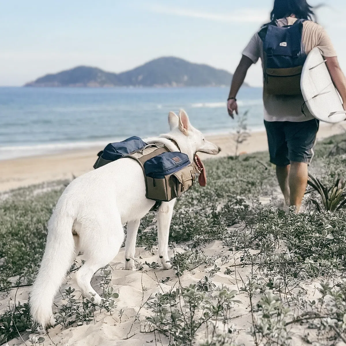Arnés de mochila de senderismo para perros medianos y grandes, bolsa de sillín duradera con asa, compartimentos de almacenamiento grandes y ajuste ajustable para aventuras al aire libre