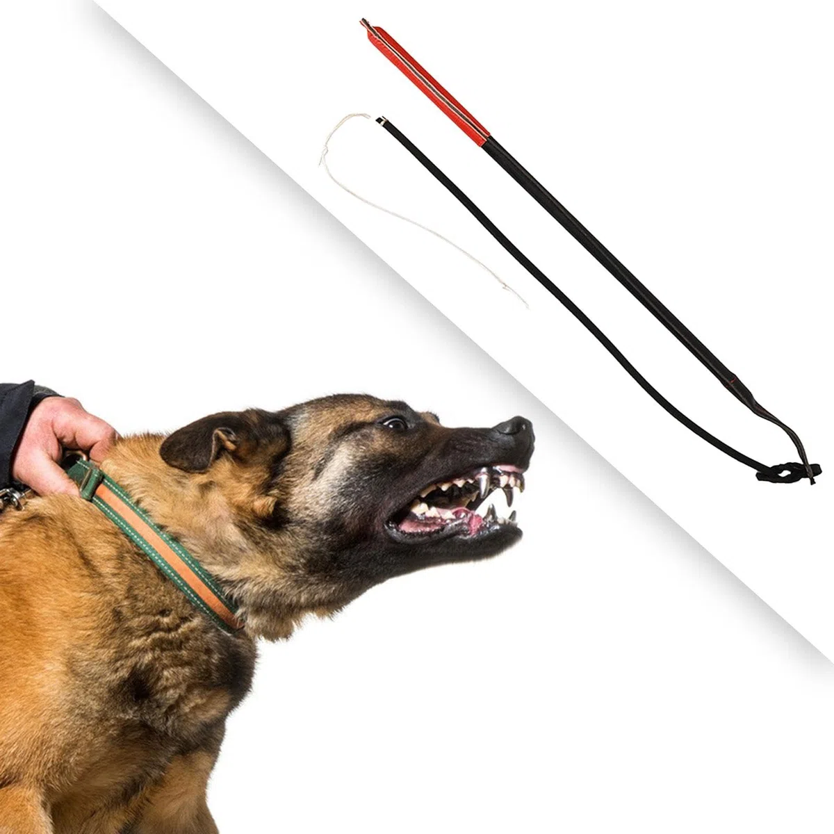 Juguete Interactivo para Perros, Cuerda Resistente para Tirar, Almohada Masticable, Dos Asas Resistentes, Costuras Reforzadas, Adecuado, Poste de coqueteo