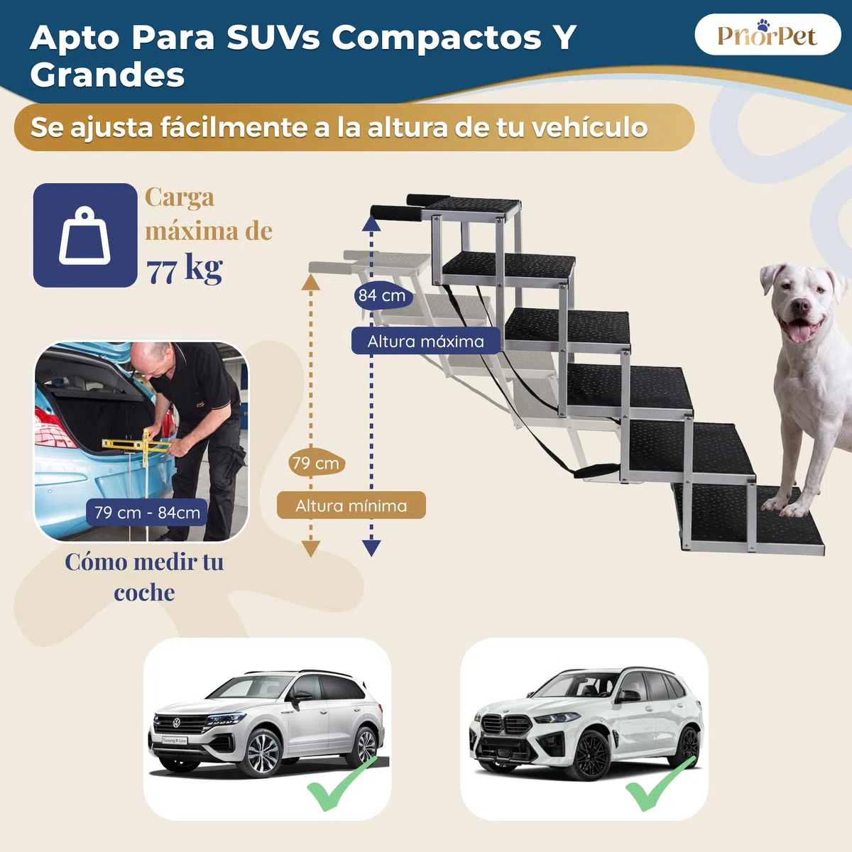 Escalera para Perros Coche Plegable – 4, 5 o 6 Peldaños para Maleteros Bajos y Altos (63–81 cm) – para Coches Pequeños, Familiares & SUV – Alternativa a Rampa para Perros