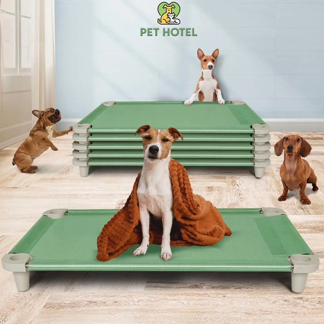 Acrimet Cama Elevada para Perros, Malla Lavable y Transpirable, Estructura de Acero Inoxidable, para Uso Interior y Exterior (Tamaño: 102 x 61 x 11cm) (Color Verde) (1 Unidad)