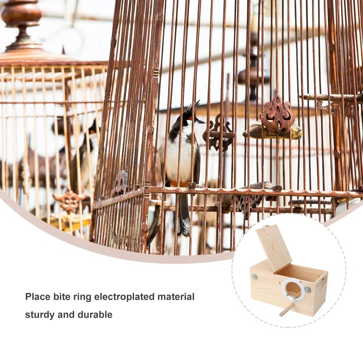 Nido de Madera Maciza de Pino para Cría de Loros, Caja Nido Grande Apertura Lateral, Decoración Exterior para Jardín y Accesorios para Jaulas de Pájaros