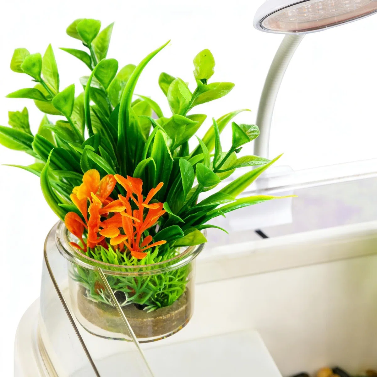 Acuario para Tortugas Terrario para Reptiles con Accesorios