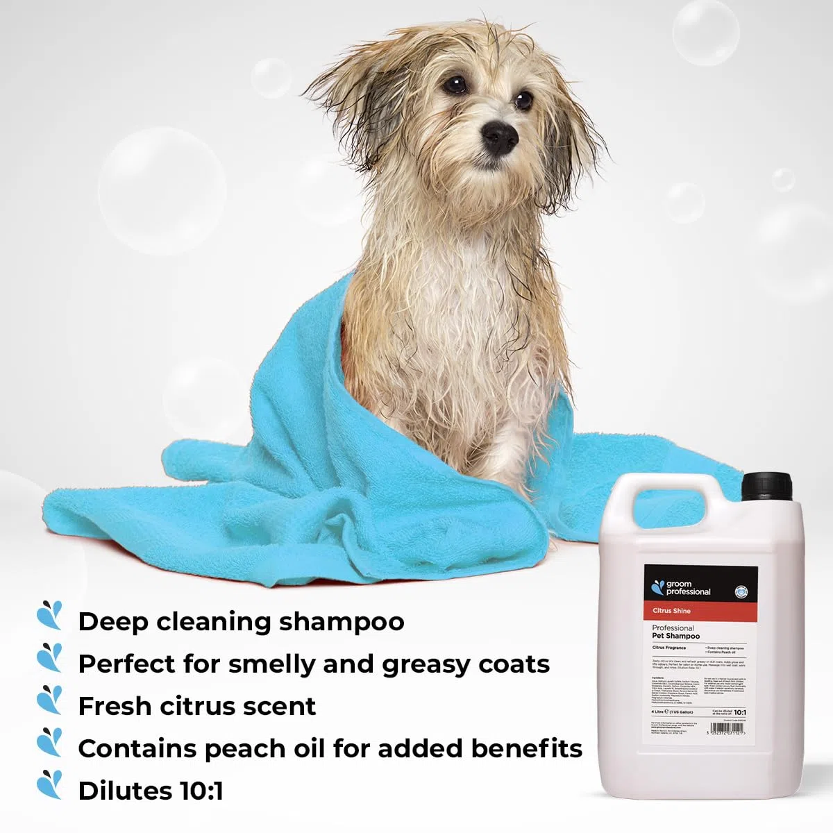 Groom Professional Citrus Shine Champú para perros (4 L) – Concentrado 10:1 con aceite de cítricos y melocotón, limpieza profunda y desengrasante, elimina olores y aroma fresco