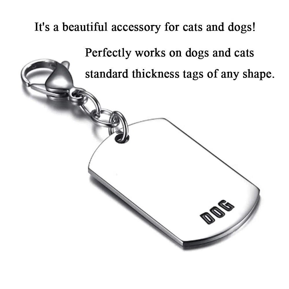 IVIA - Broches para Etiquetas de Perro (Acero Inoxidable, 316 L), diseño de Langosta con Anillos para Collares y Collares de Gato y Perro