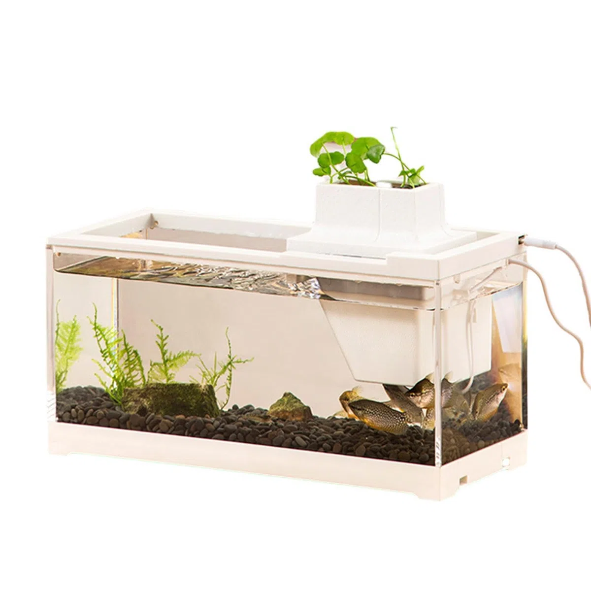 Mini pecera,Pecera pequeña Mini Acuario pequeño, Abierto, Grande, a Prueba