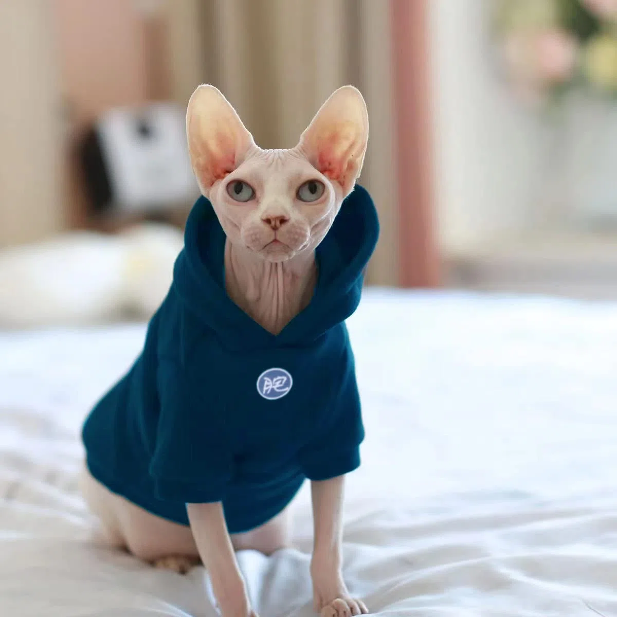 Sphynx - Ropa para gatos – Sudadera gruesa y cálida con capucha y chaleco para gatitos sin pelo, Devon, Cornish, Peter Bald Kittens (mediano)