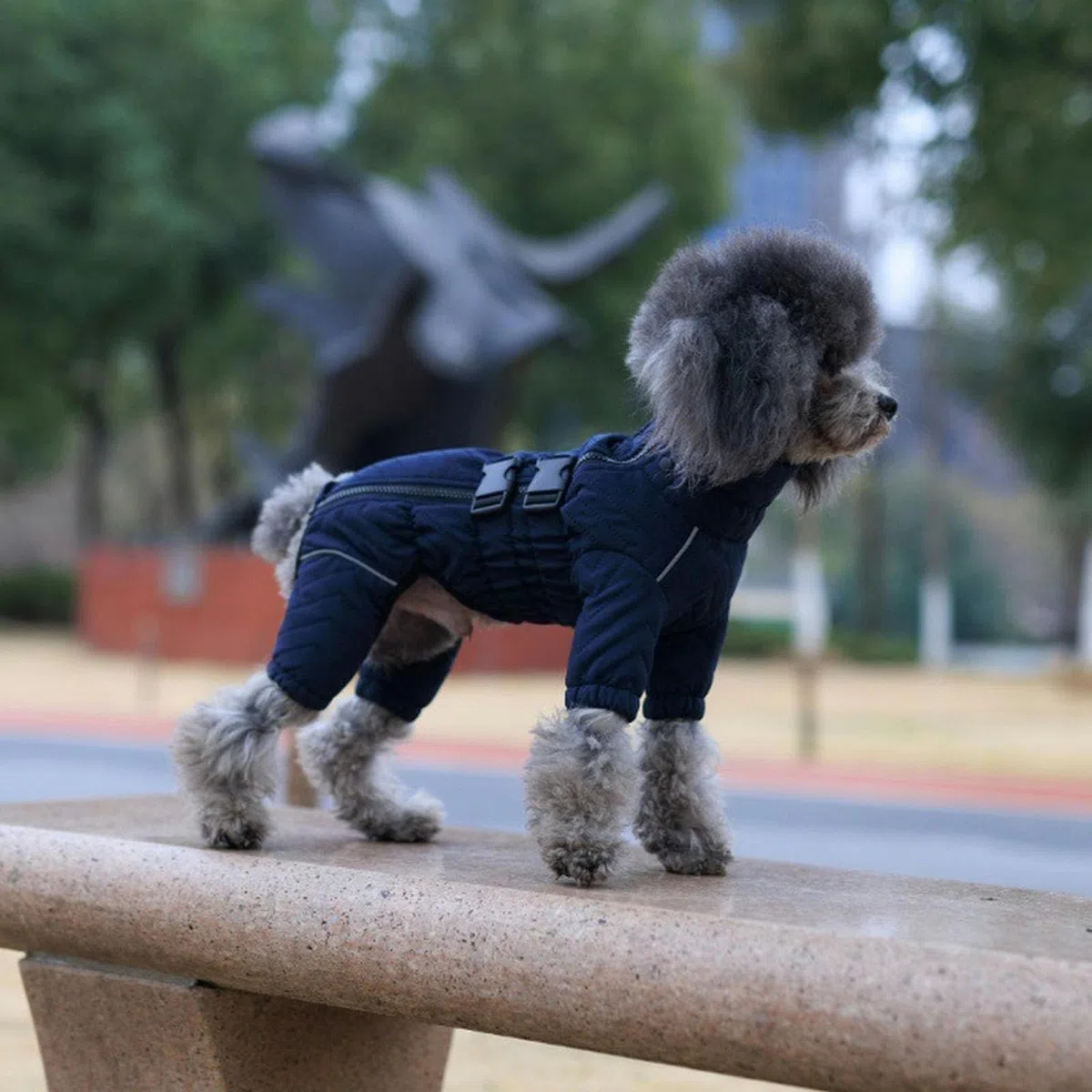 Abrigo de Nieve para Perros, Ropa de Invierno para Cachorros, Chaqueta Polar Impermeable para Perros, Traje de Nieve cálido para Perros pequeños, medianos y Grandes