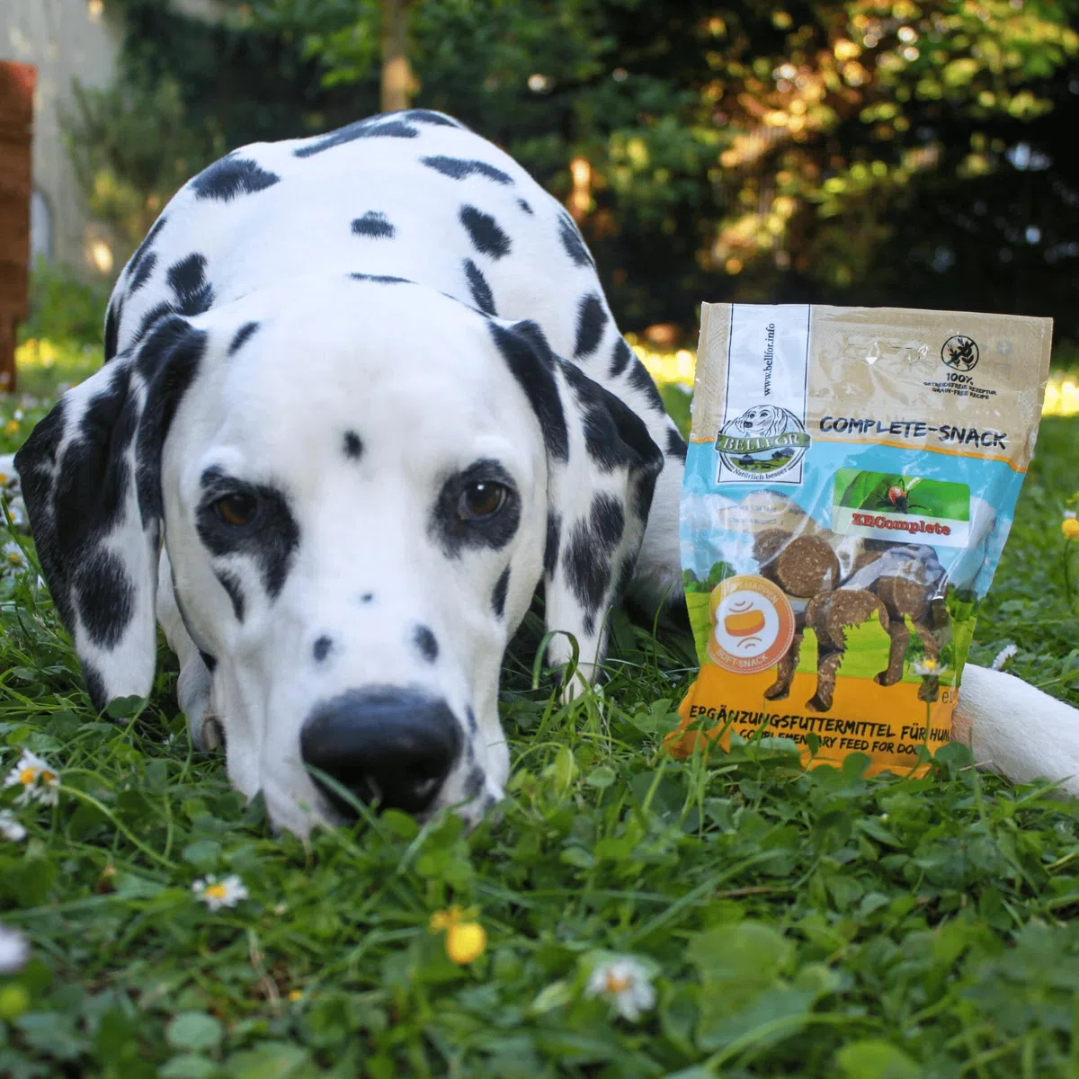 Bellfor ZEComplete Snacks para Perros sin Cereales - 3 x 150 g | Proteína de Insectos | Rico en Ácido Láurico | Golosinas Naturales para Perros